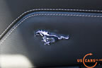 2010_mustang_detail_b1.jpg (119kb)