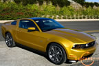 2010_mustang_gold_d.jpg (230kb)