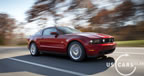 2010_mustang_b8.jpg (80kb)