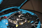 2010_grabber_blue_e4.jpg (134kb)