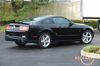 2010_mustang_ny_a8.jpg (315kb)