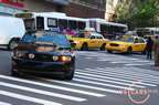 2010_mustang_ny_c4.jpg (392kb)