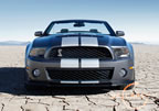 shelby_gt500_a2.jpg (186kb)