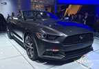 15_mustang_detroit_b9.jpg (177kb)
