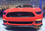 15_mustang_detroit_e2.jpg (183kb)