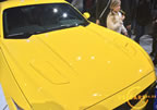 15_mustang_detroit_h9.jpg (137kb)
