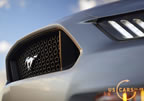 2015_mustang_ingot_b1.jpg (113kb)