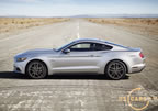 2015_mustang_ingot_d4.jpg (164kb)