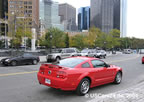 2005_mustang_m.JPG (158kb)