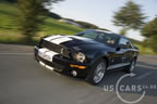 shelby_a_4.jpg (86kb)