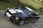 shelby_a_6.jpg (83kb)