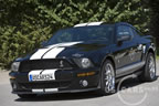 shelby_b_1.jpg (129kb)