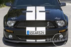 shelby_b_6.jpg (110kb)
