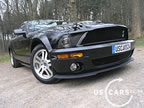 shelby_f_6.jpg (78kb)
