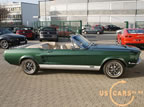 gb259_f8.jpg (247kb)