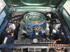 gb259_m6.jpg (238kb)